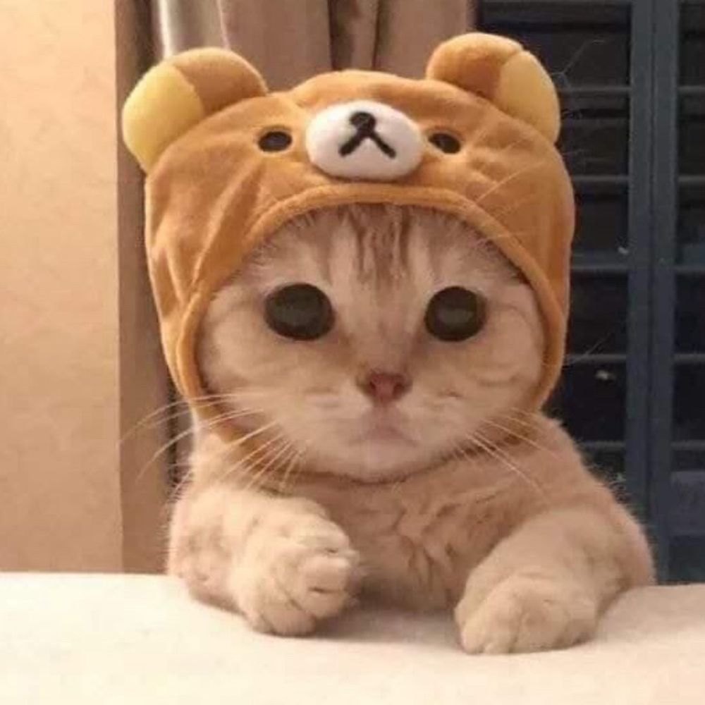 good boy
