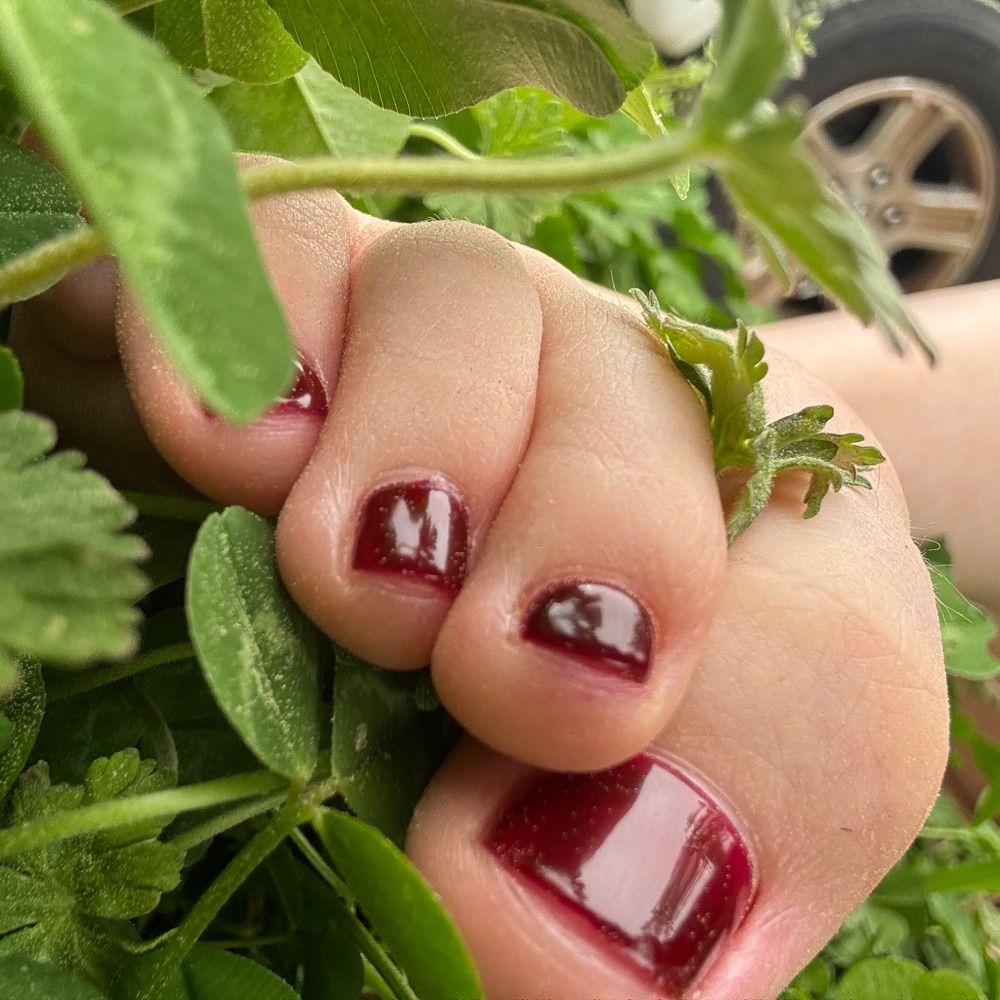 Little Fairy Toes🧚🏻‍♀️🍃