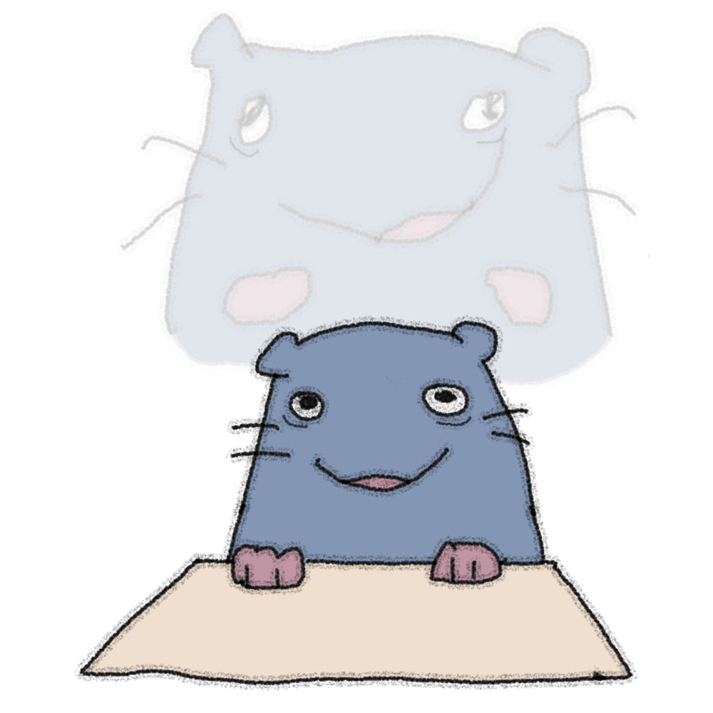 阿莫西林