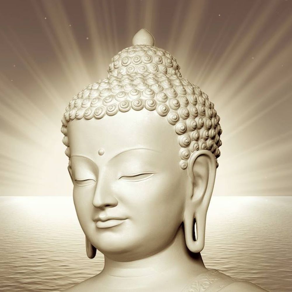 Meditation in Asheville