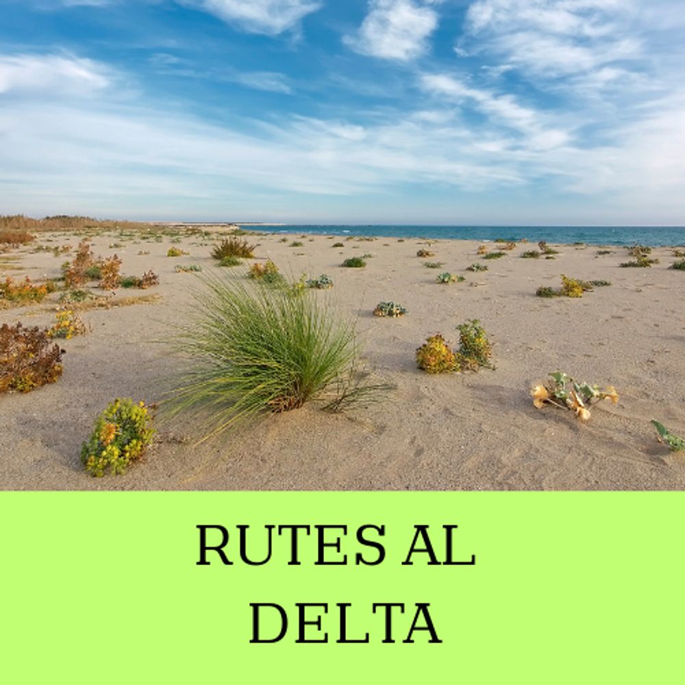 Rutes al Prat i al Delta del Llobregat