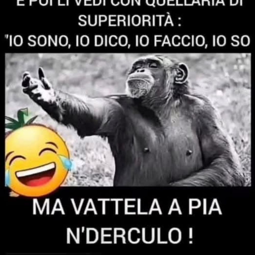 Distratto83