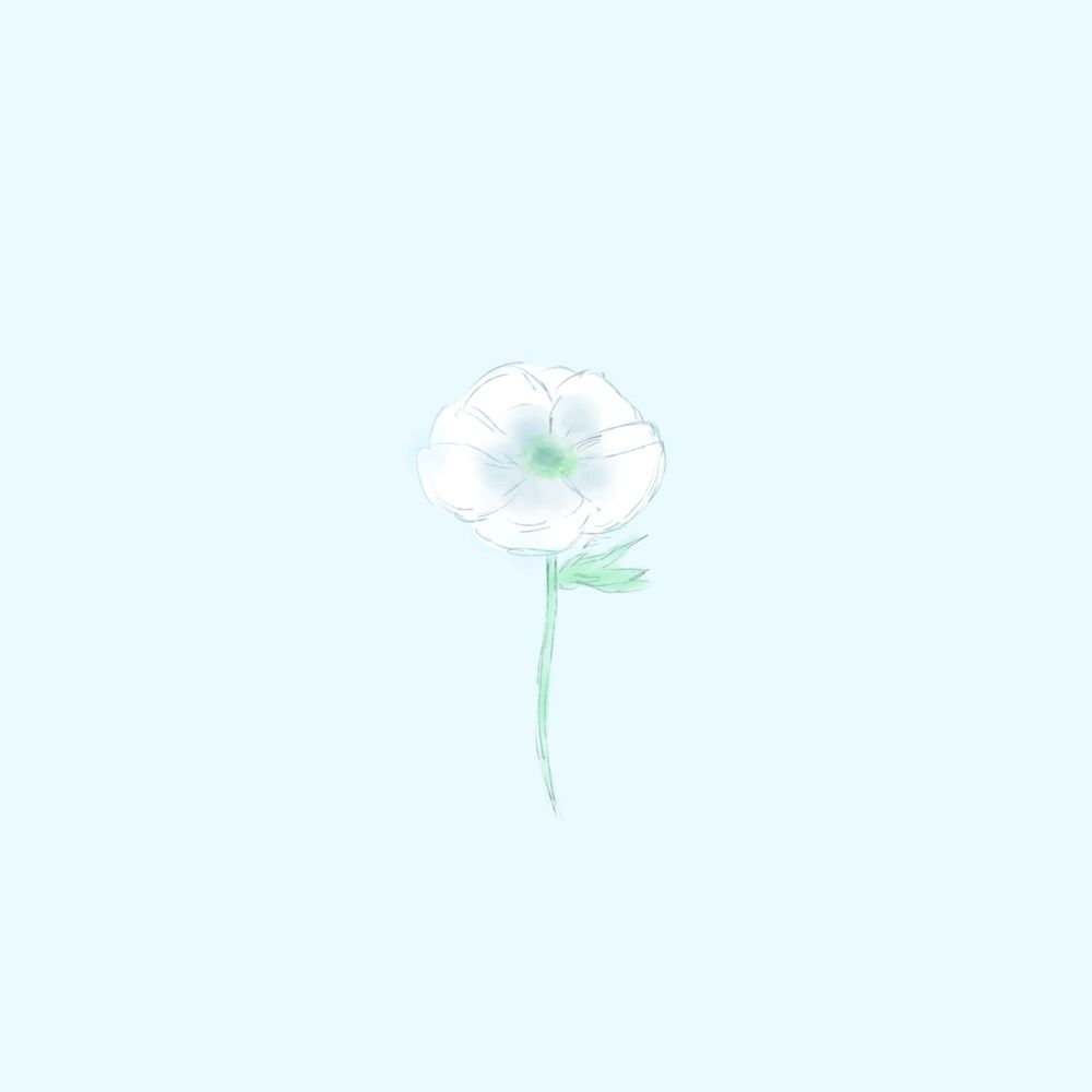 あねもね。