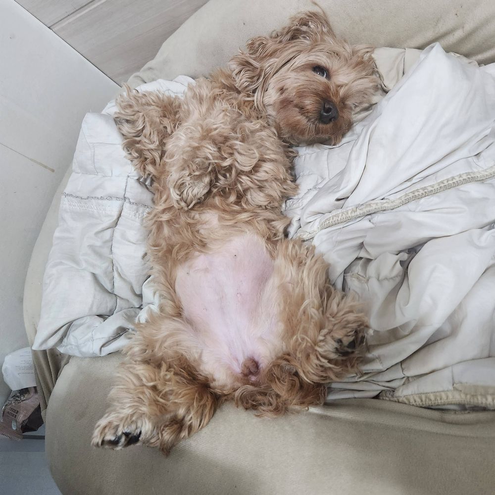 육님