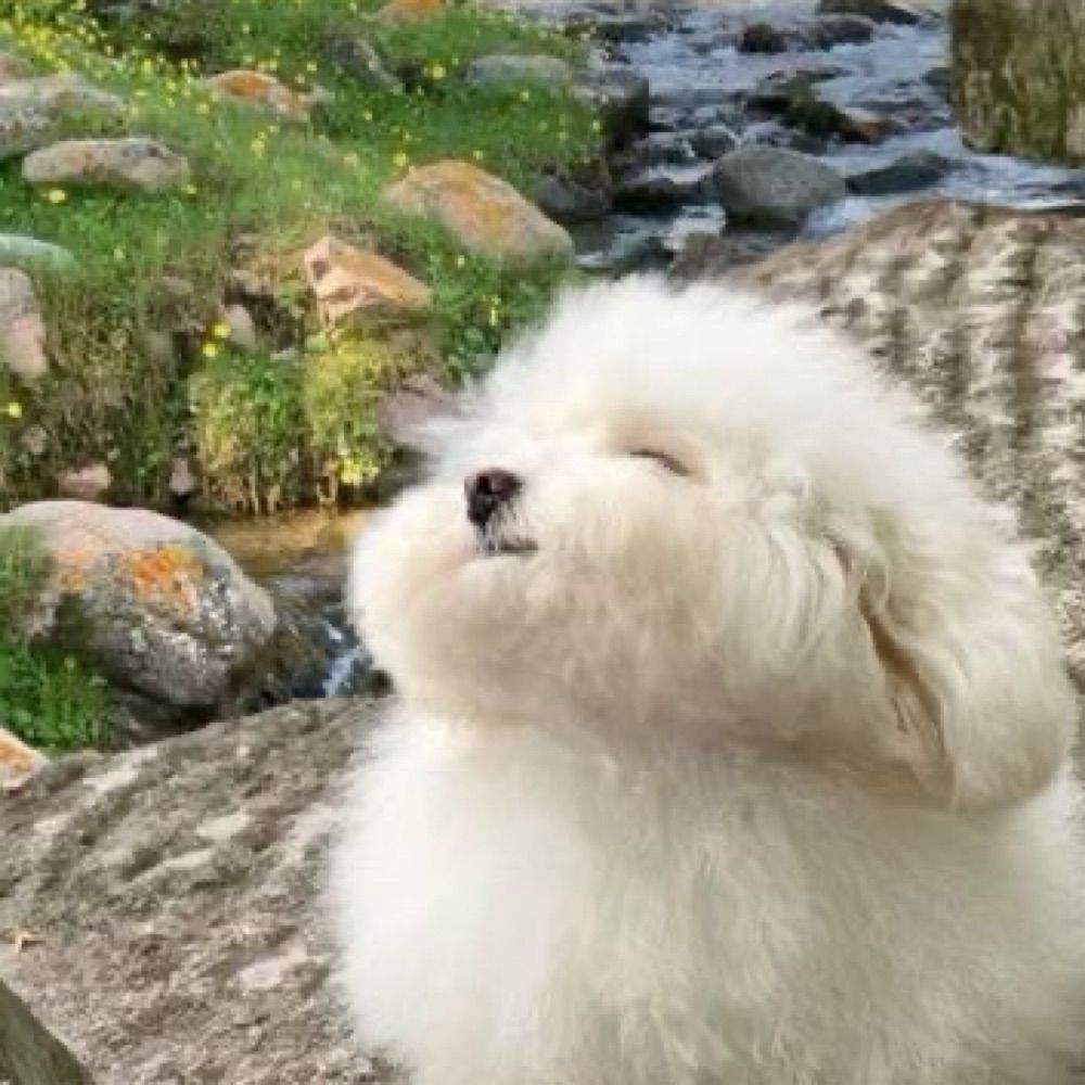 ちろ