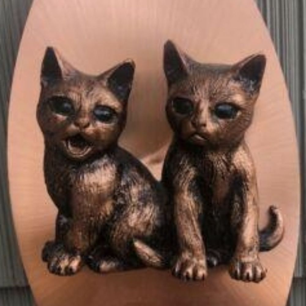 CopperKitten
