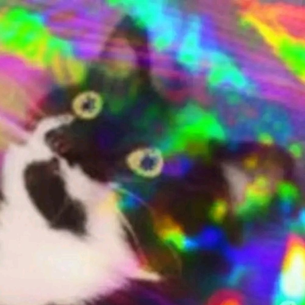 cat-magic.bsky.social on Bluesky