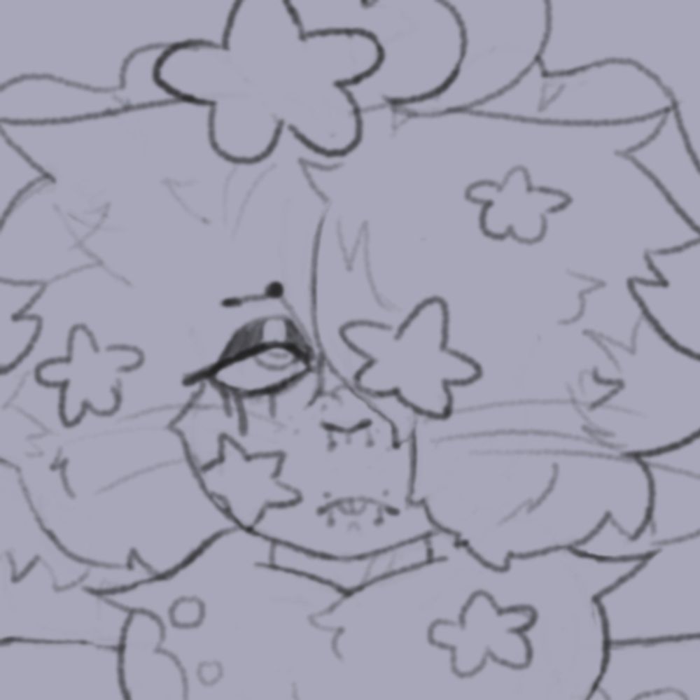 aster