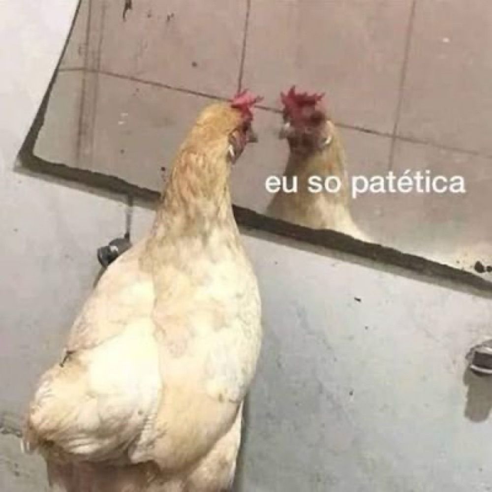 Saco de batata