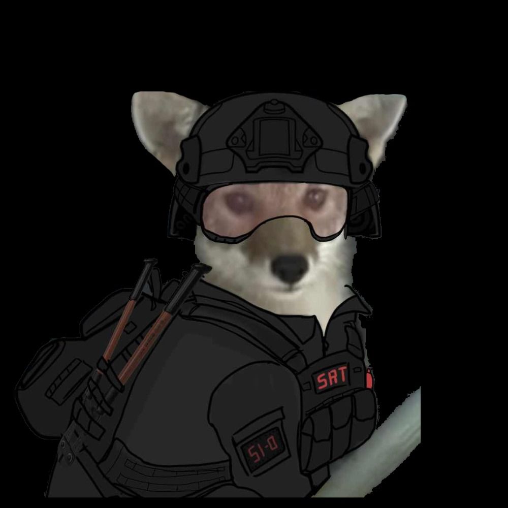 Scout