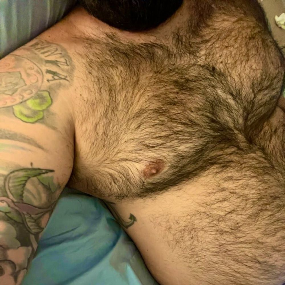 🐻 BCN
