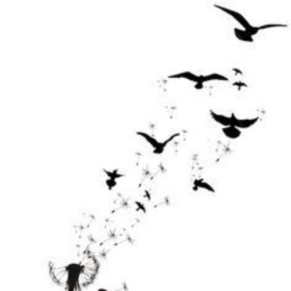 ShadowsDove