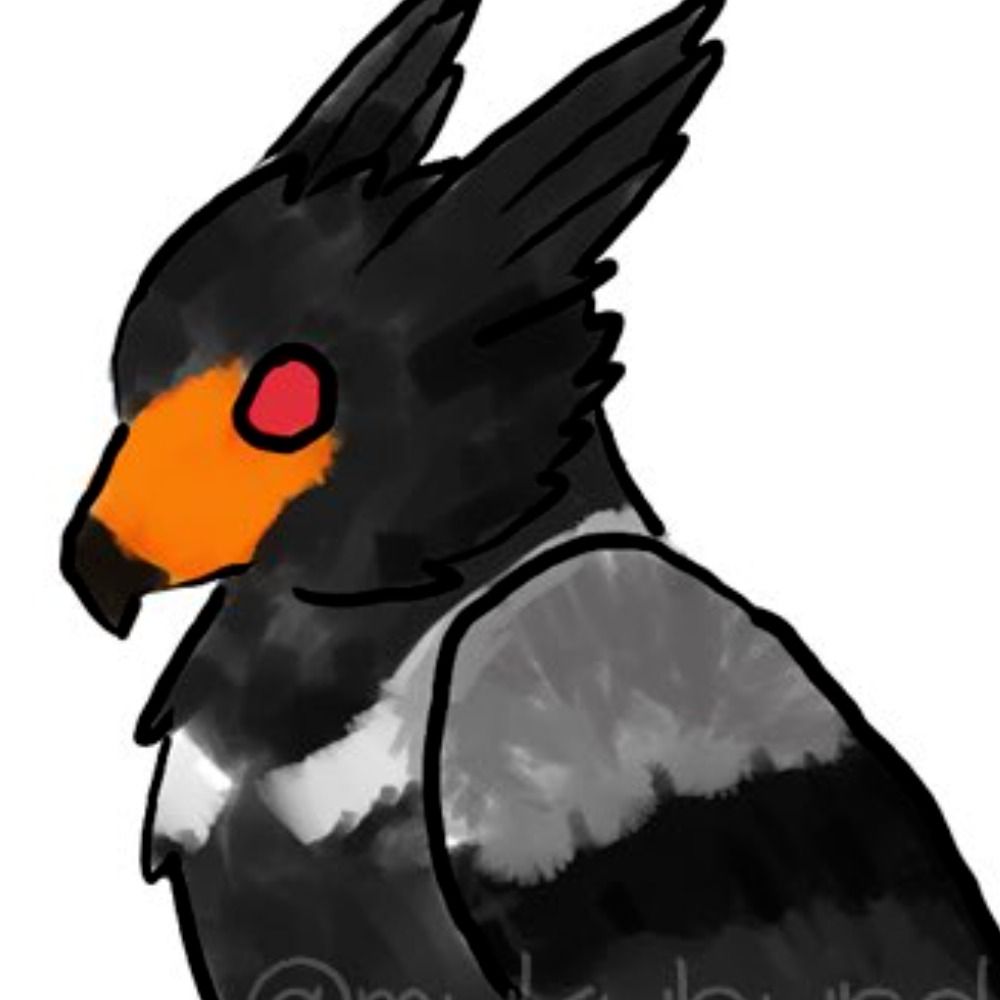 steel-feathered mukubird