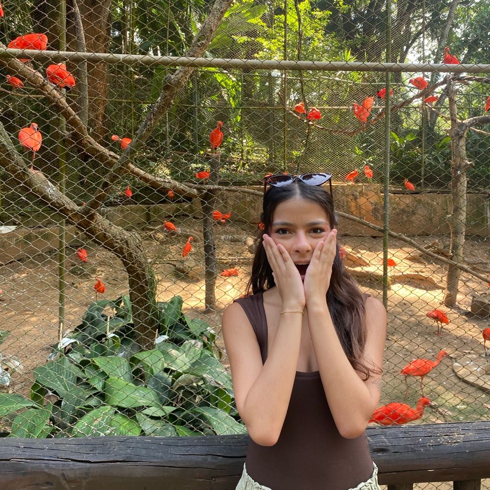clarinha🦀