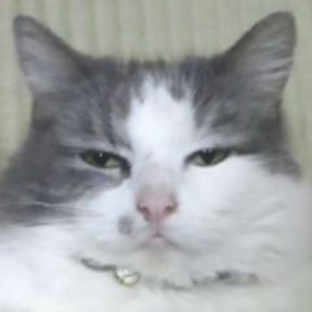 一味