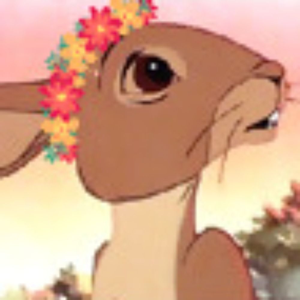 Taoroo