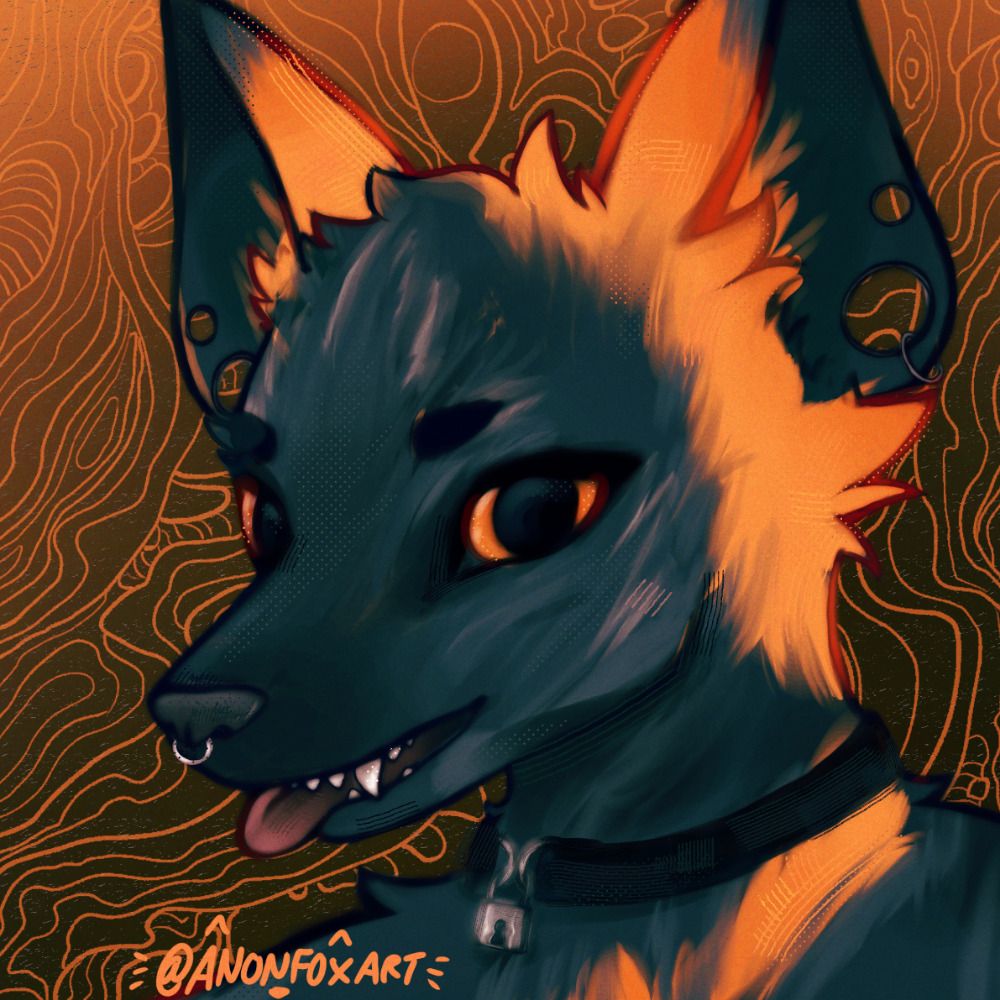 Anon Fox 🔞🌈