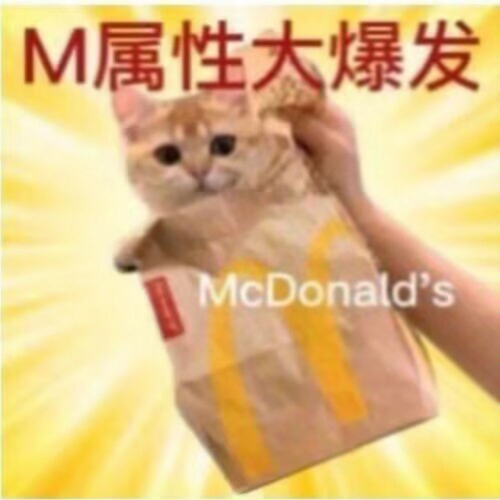 麦当劳猫
