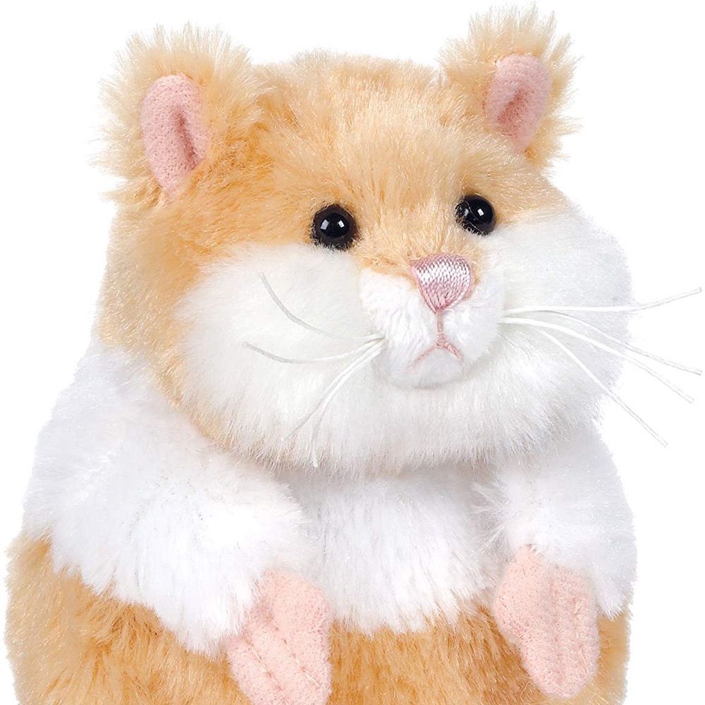 긁밥이