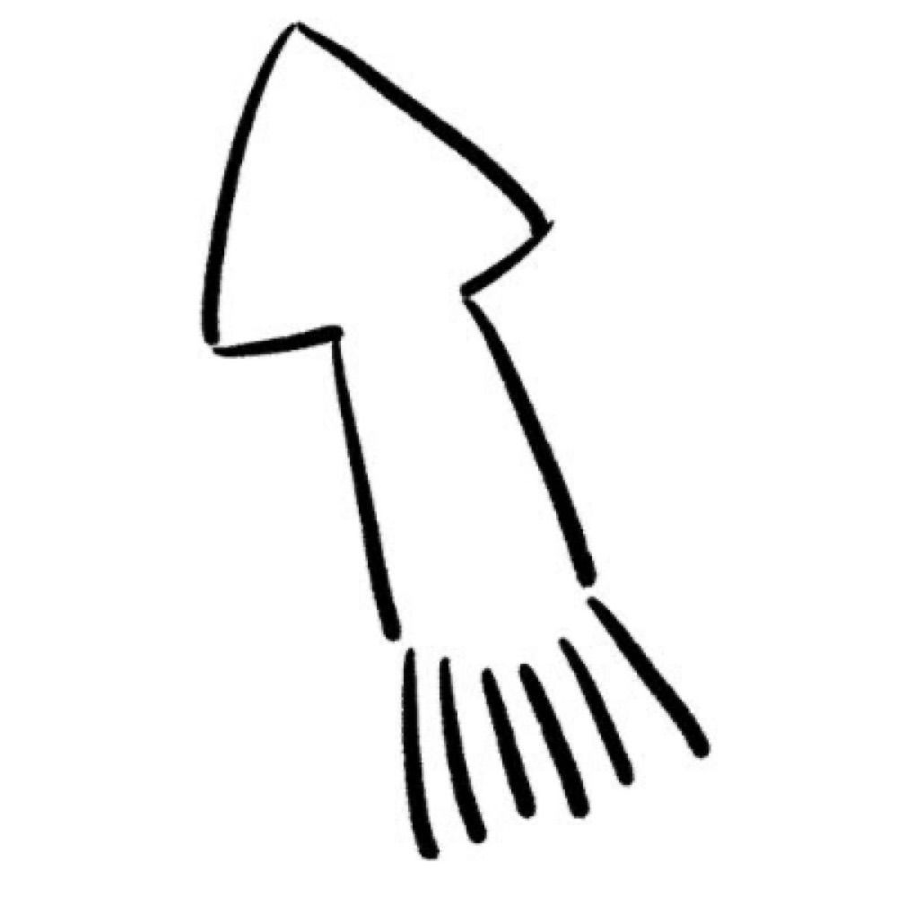 Flasso