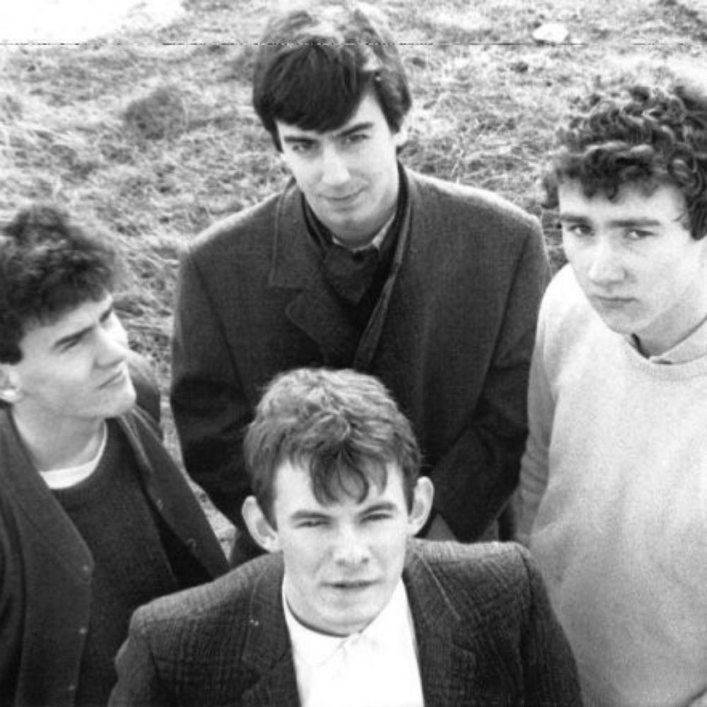 The Dentists