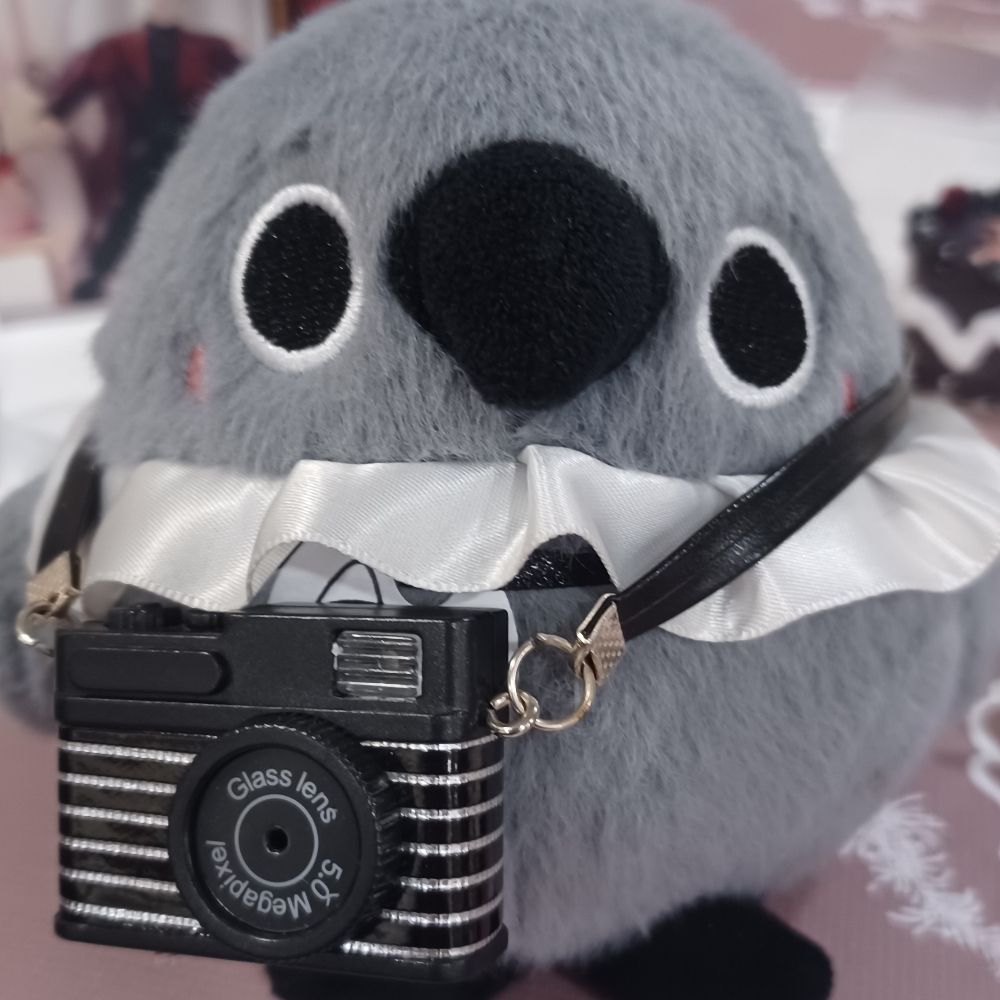 淺安安