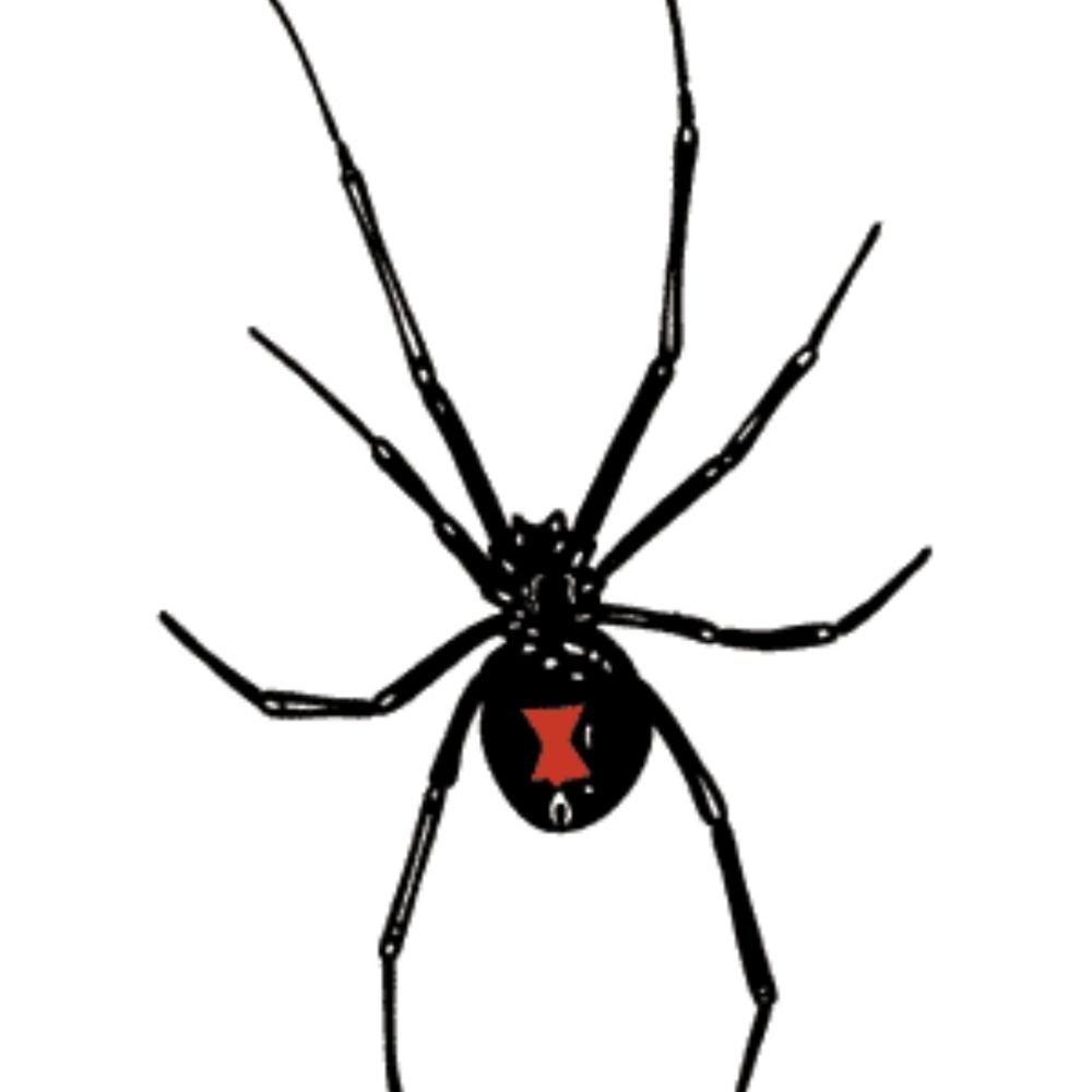 Black Widow Art