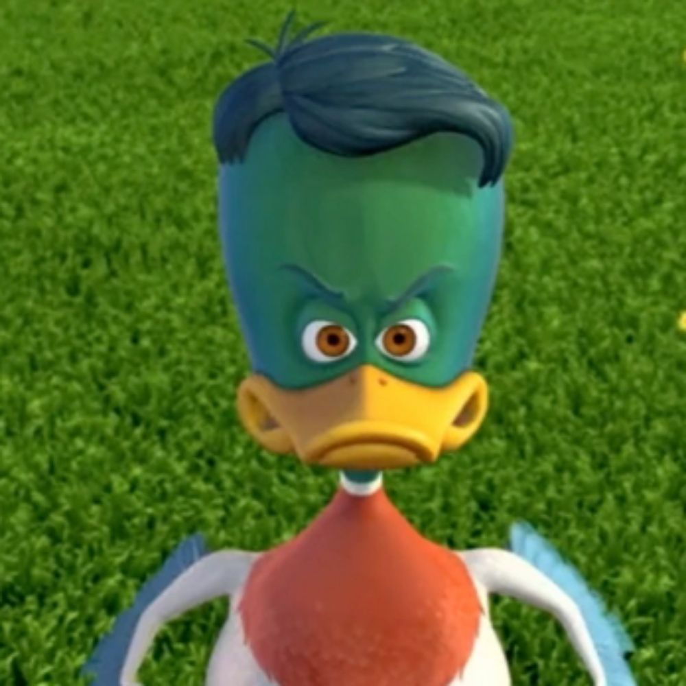 kodashiraspacanela