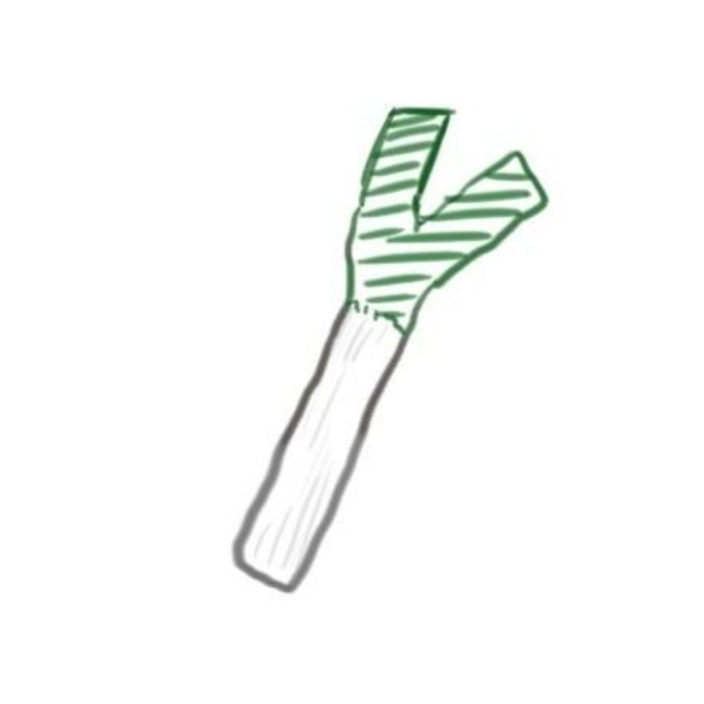 ねぎ🔰