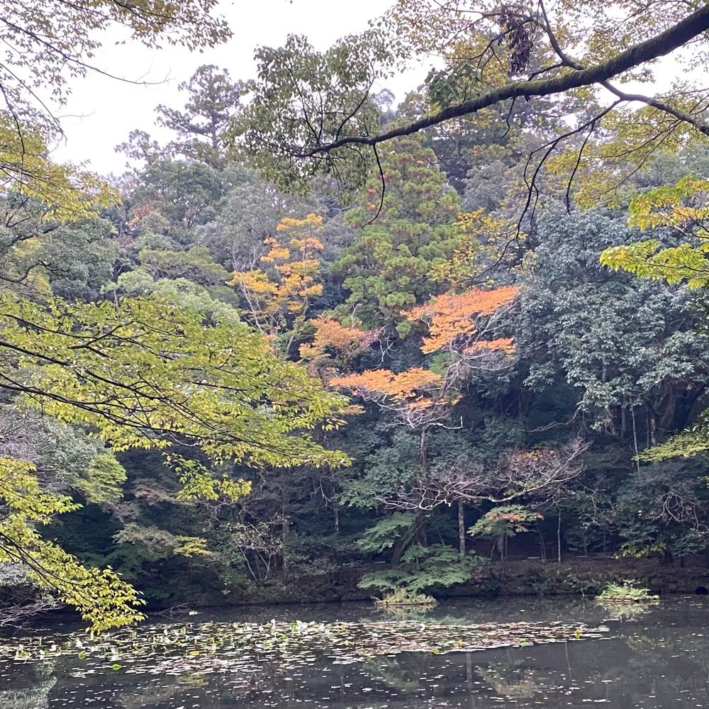 こちんだ