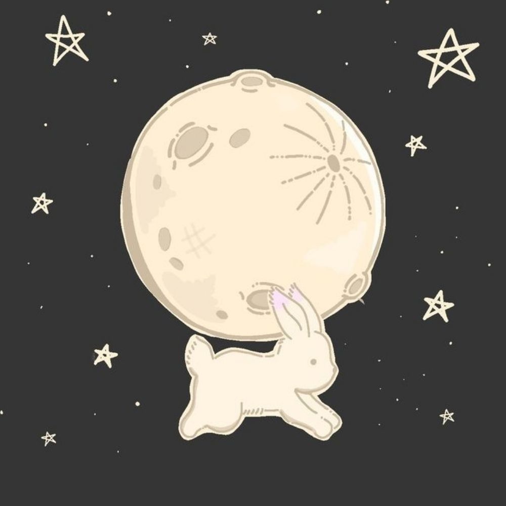 moonlight 🌙 vende toploader