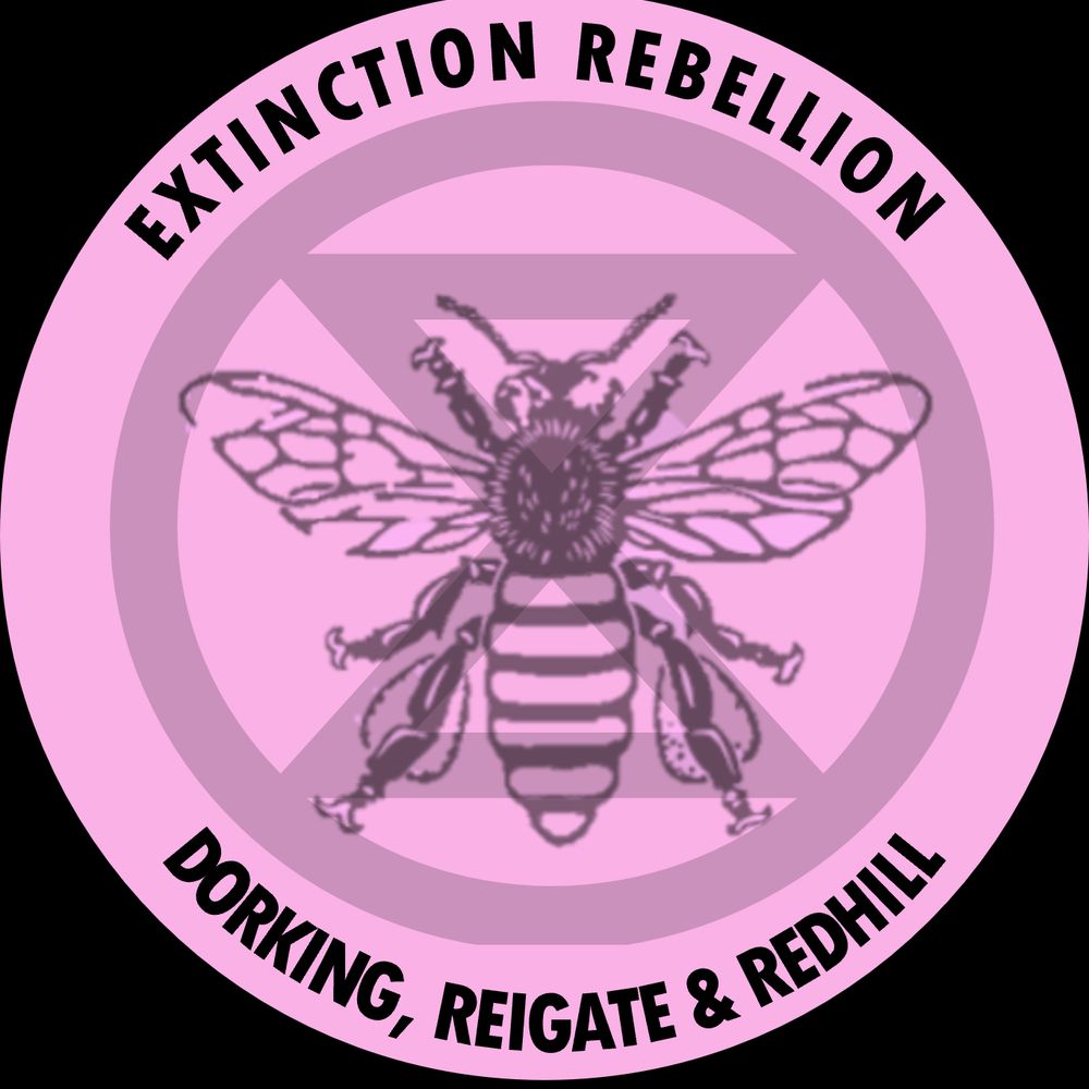 Extinction Rebellion Dorking, Reigate & Redhill