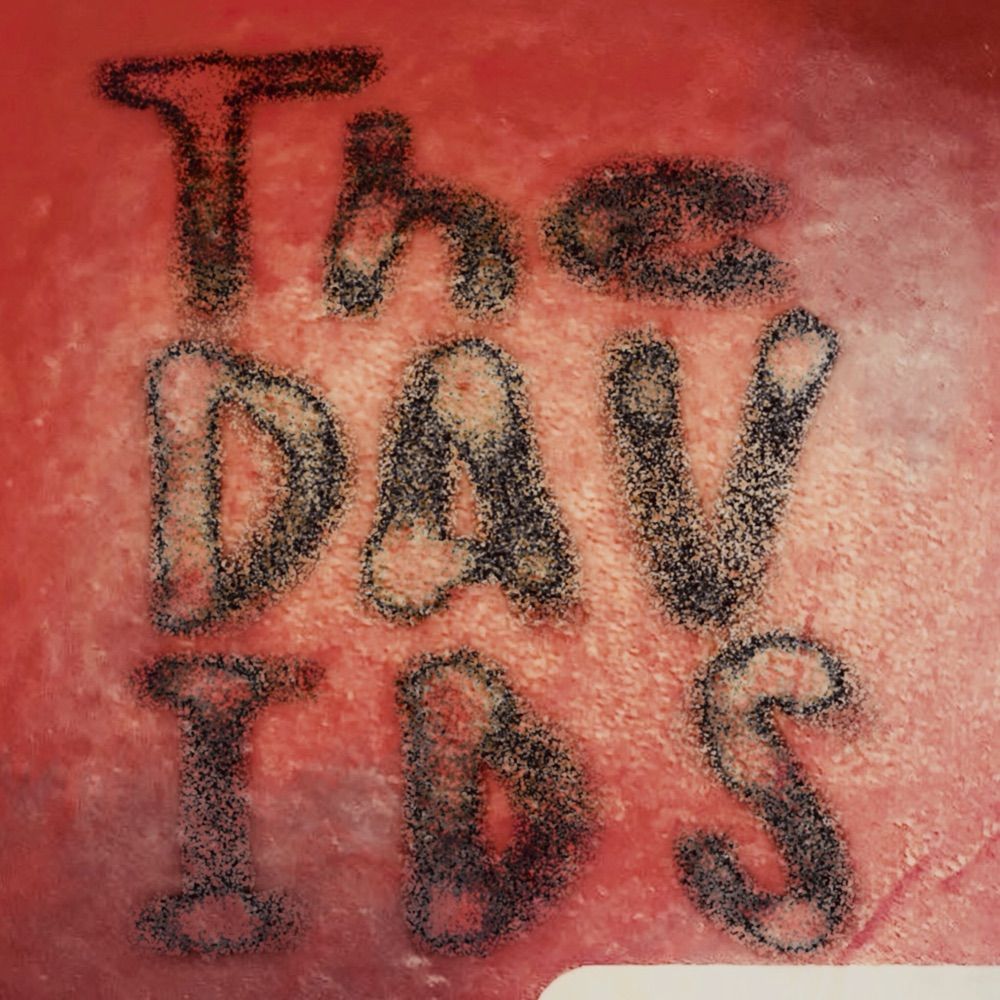 The Davids Podcast