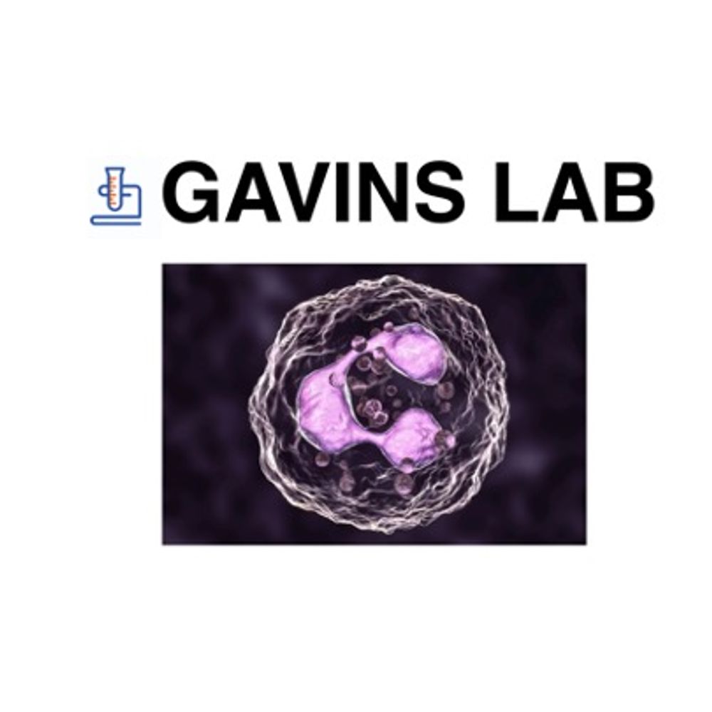 Gavins lab