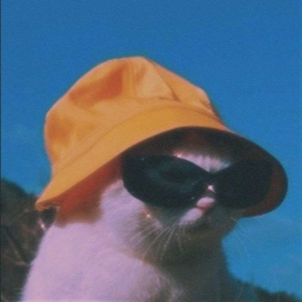 Saji55