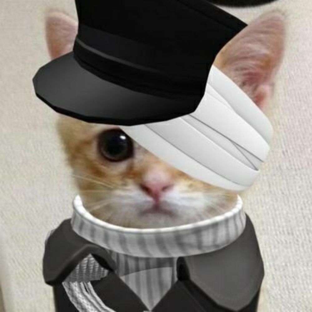 VESPER‼