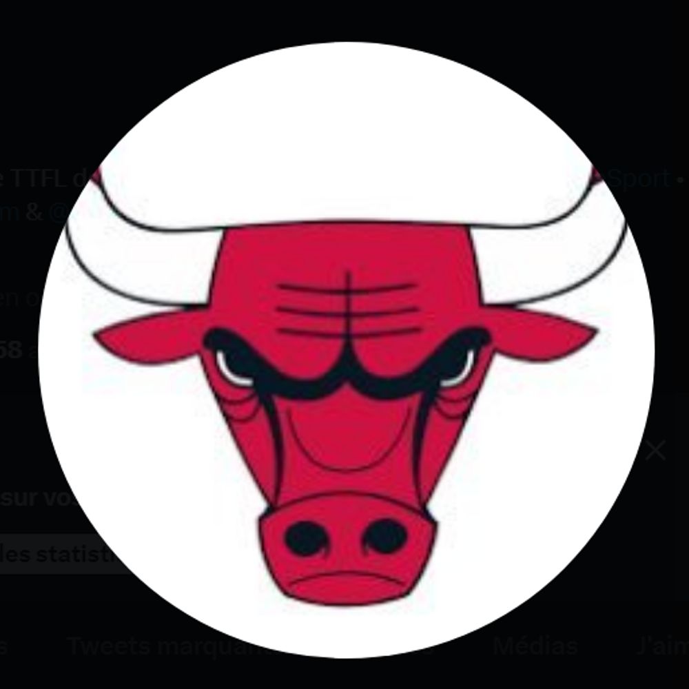 BullsWin 