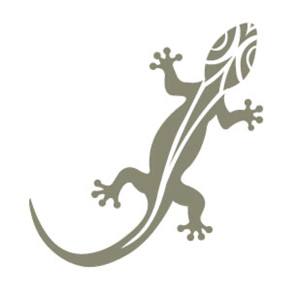 Psoriasis-Netz