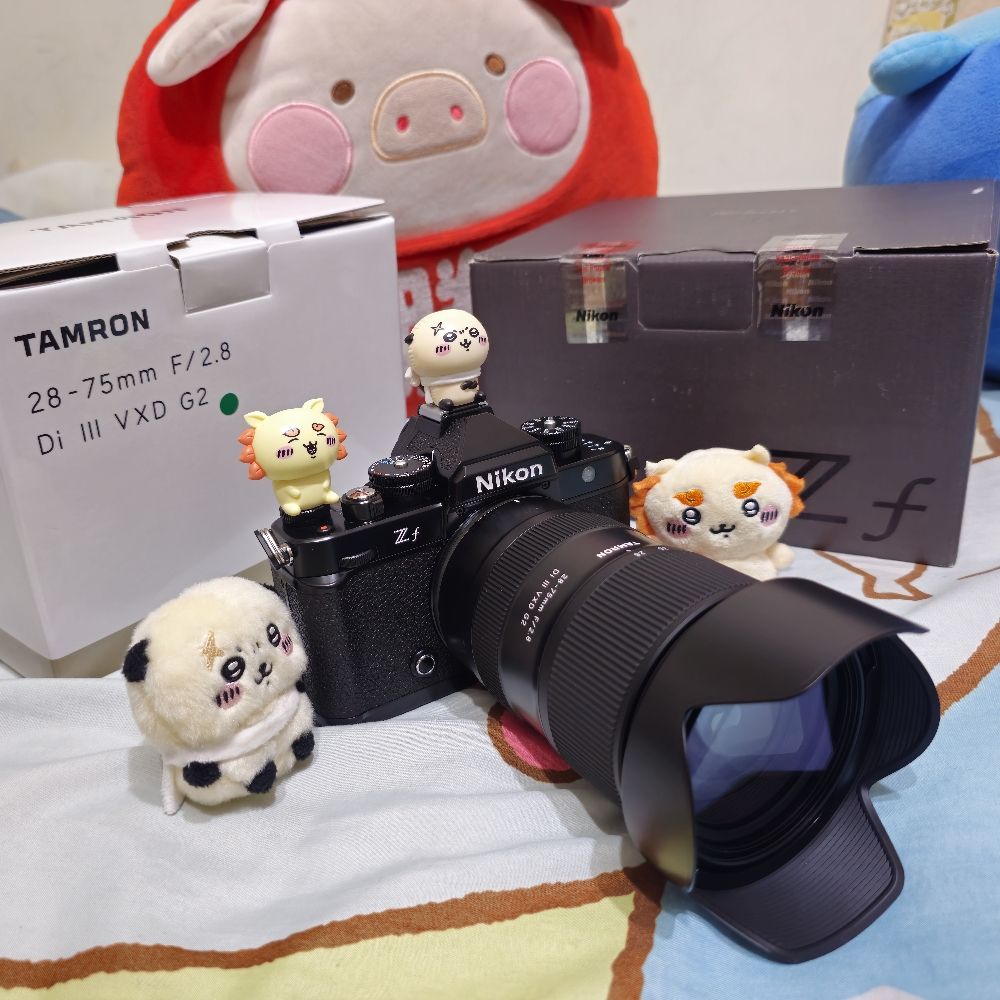 Q豆
