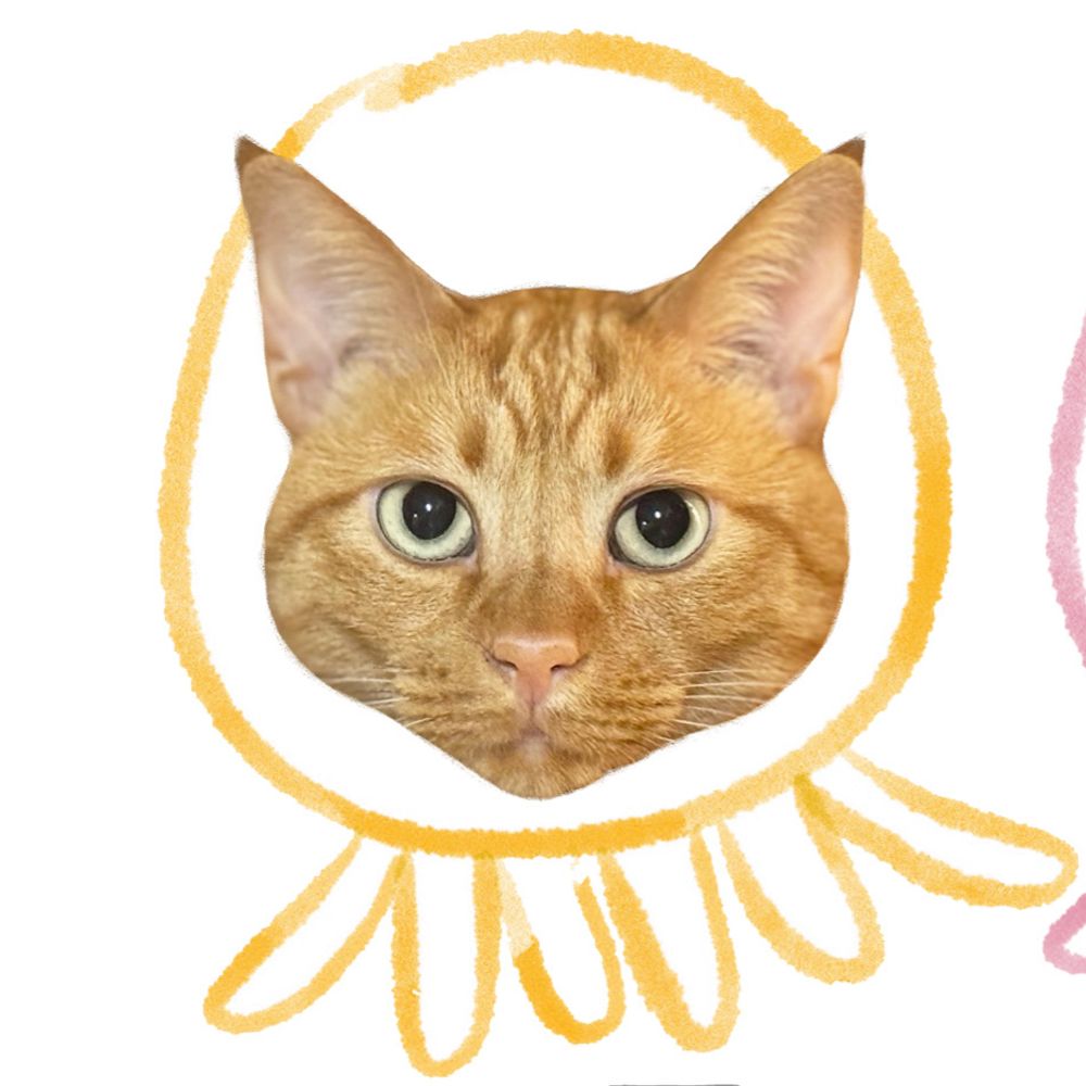 츄꾸미조아