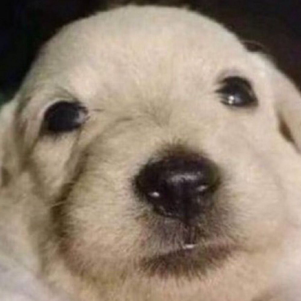 초