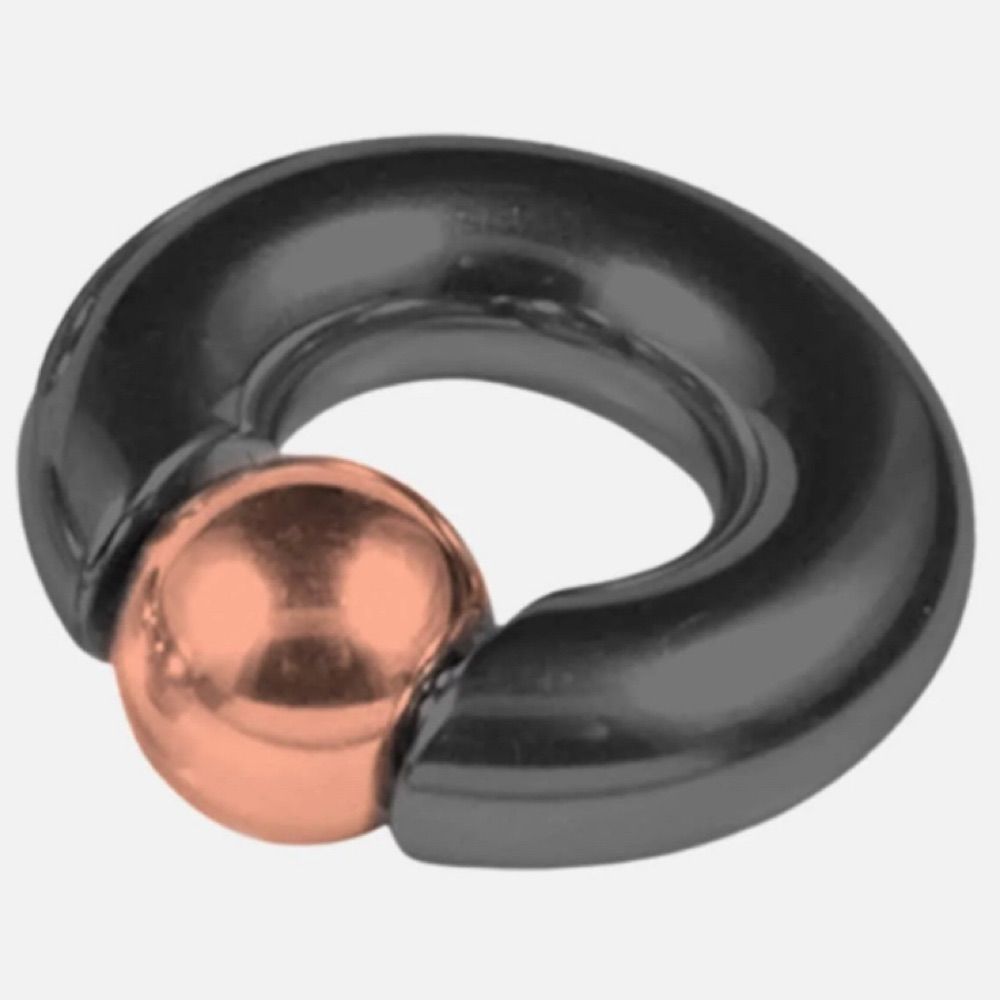 PrncAlbPiercedDude