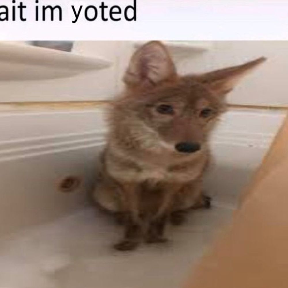 y0ted