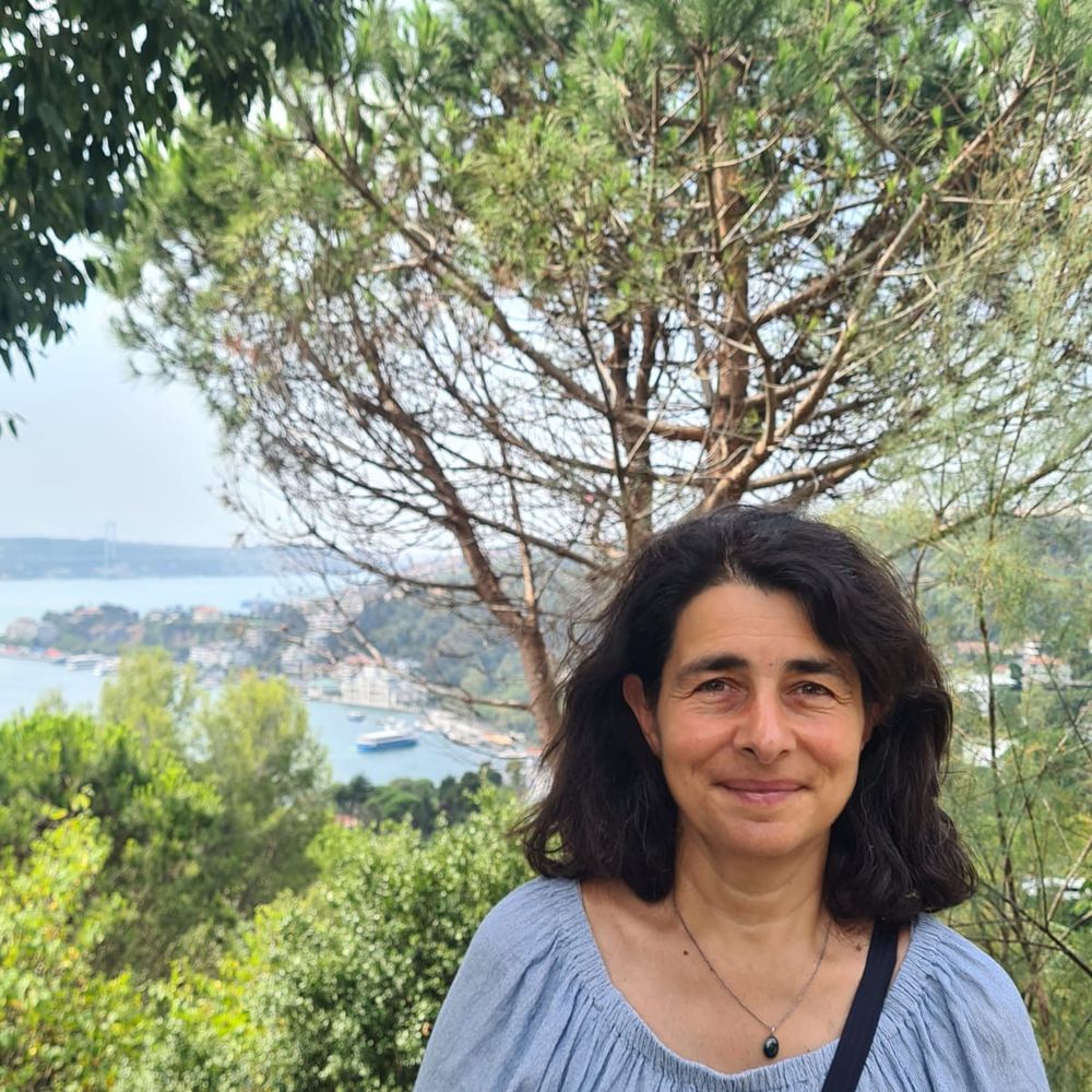 Şebnem Susam-Saraeva