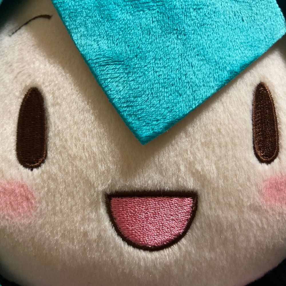 しらす隊長