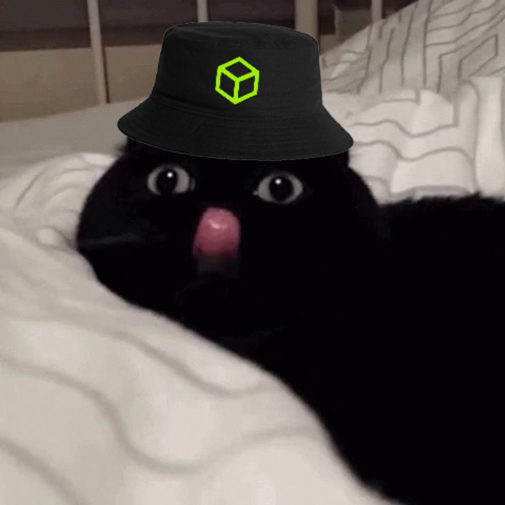 STDK
