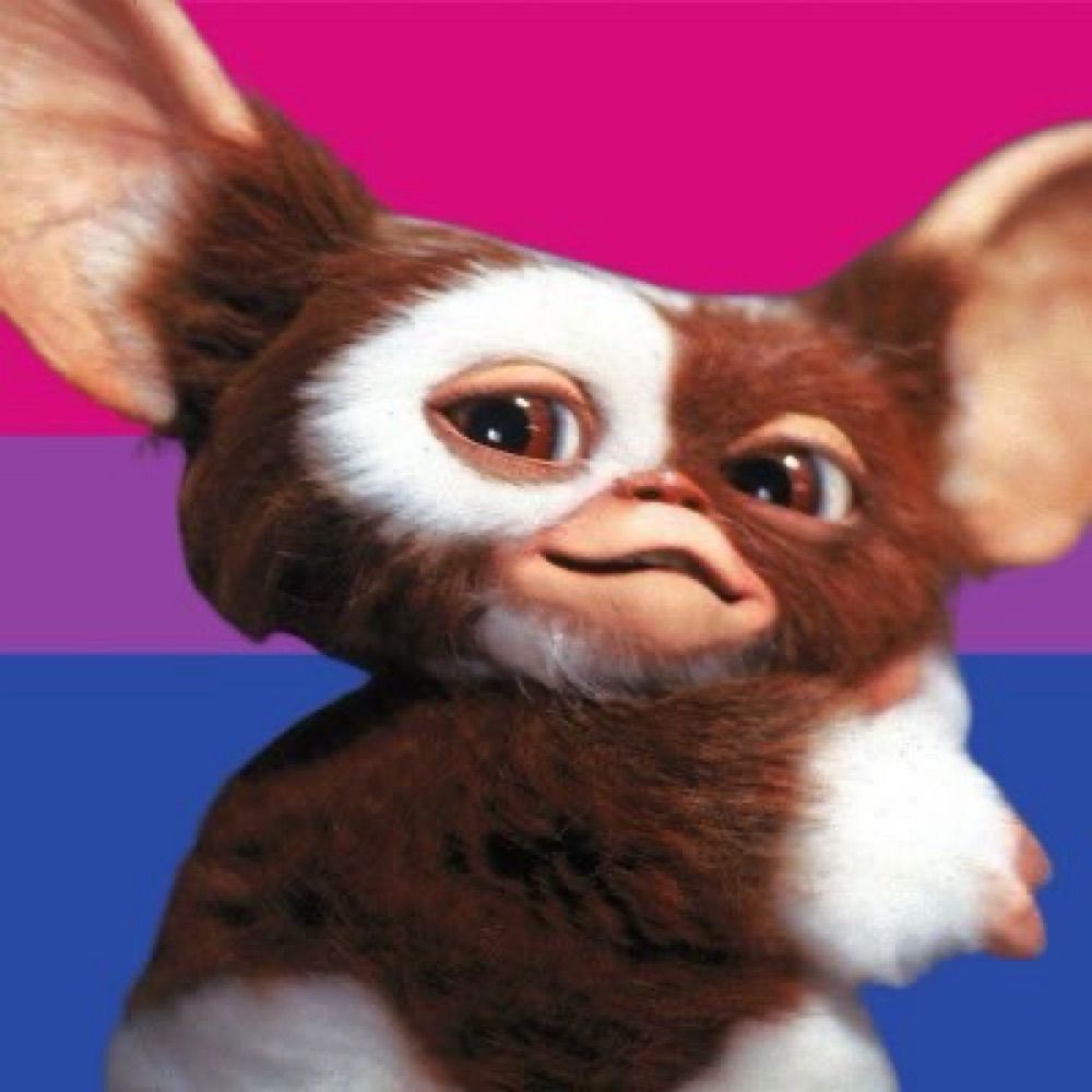 Profile picture gaylorgremlin.bsky.social