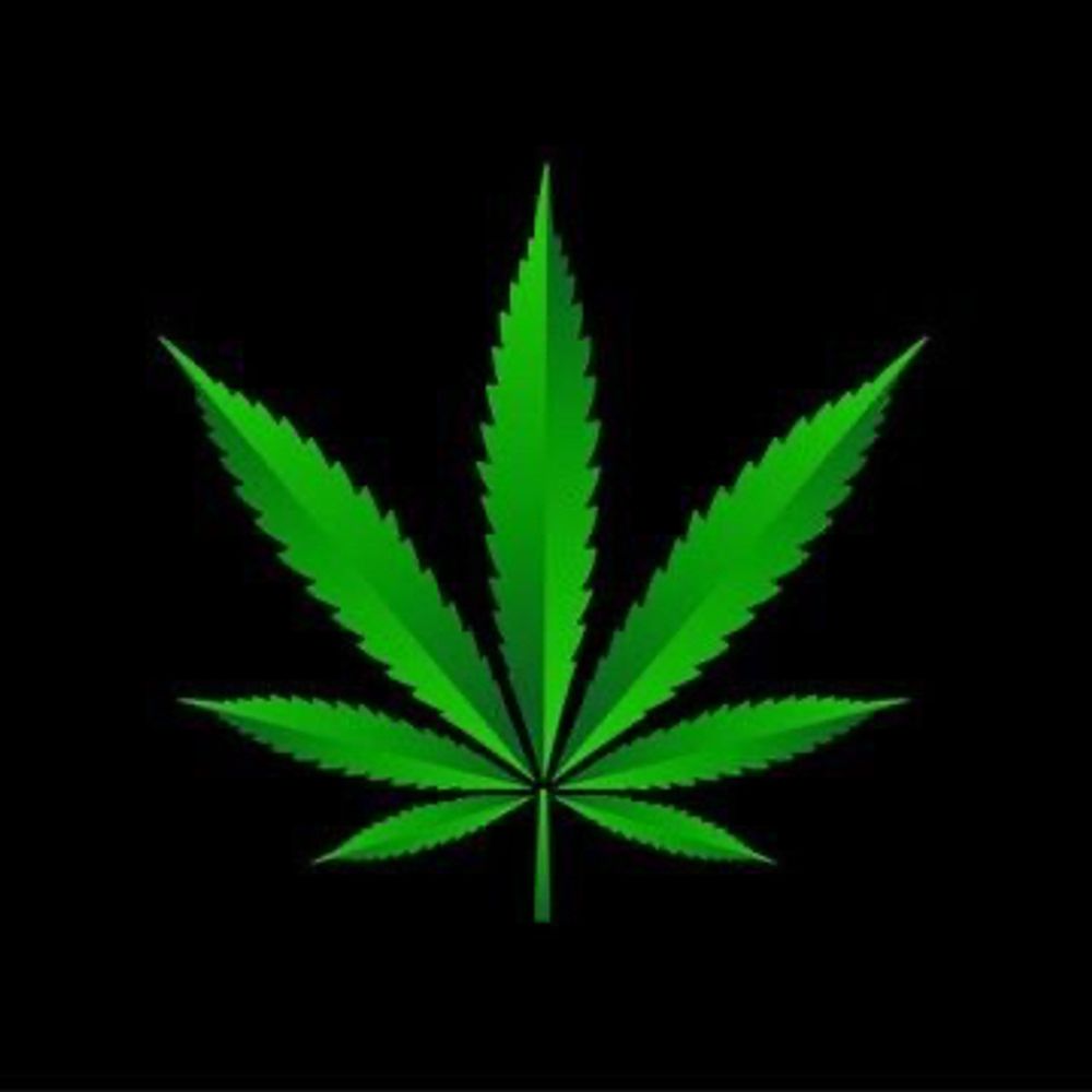 Dispo Dispensary 🌴