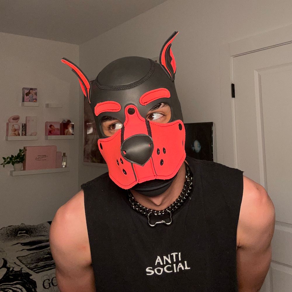 JeffDePup