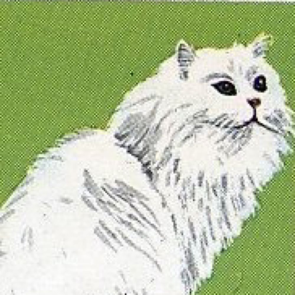 Mishka